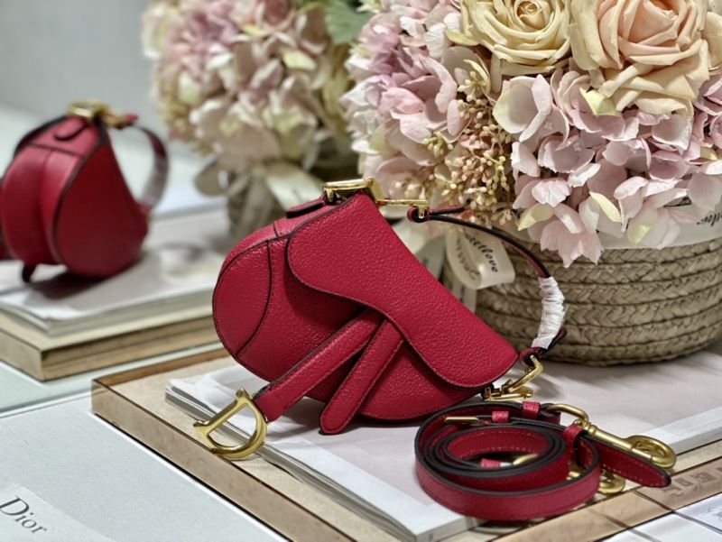 Christian Dior Saddle Bags